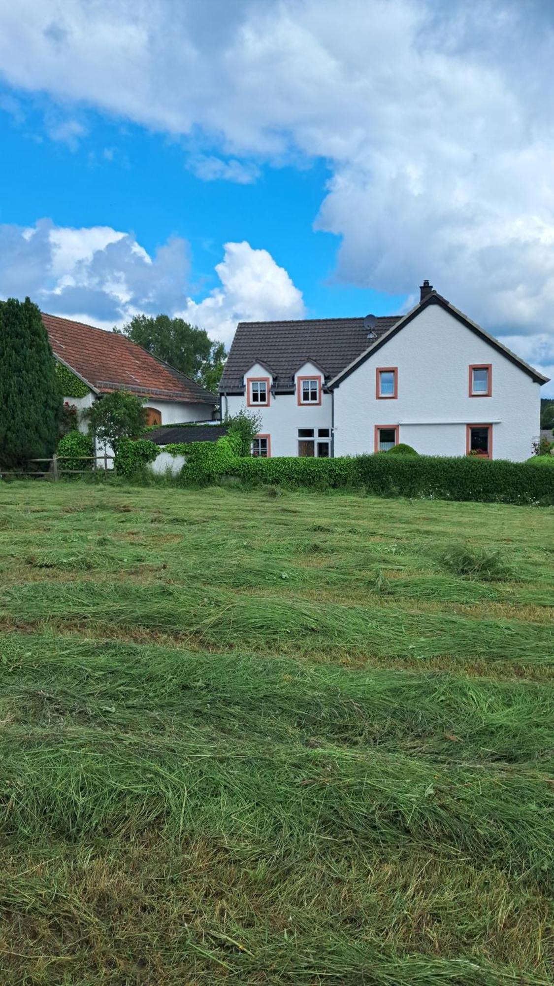 Ferienwohnung Eifelgold Esch Esch  Екстериор снимка